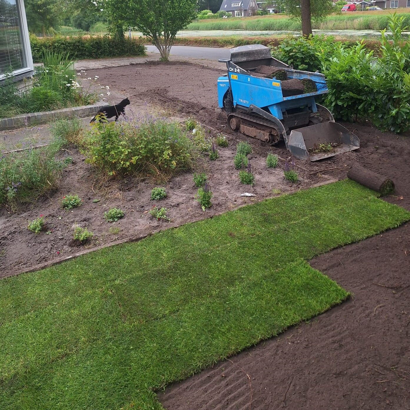 Afbeelding van WhatsApp op 2024-08-25 om 13.50.26_342cef3e