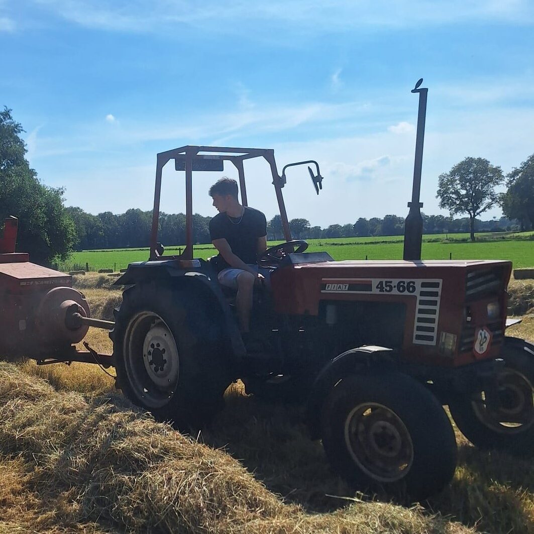 Afbeelding van WhatsApp op 2024-08-25 om 13.50.26_bfa74b9b